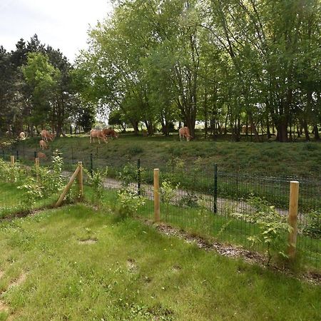 Le Temps D'Une Escale A St Wary Saint-Valéry-sur-Somme Luaran gambar